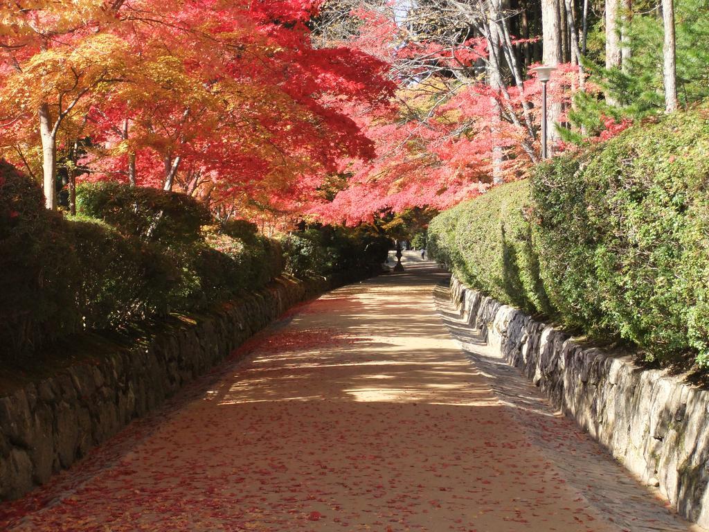 Отель Koyasan Shukubo Jokiin Экстерьер фото